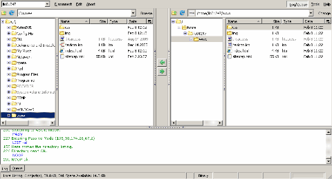 FireFTP Hauptfenster